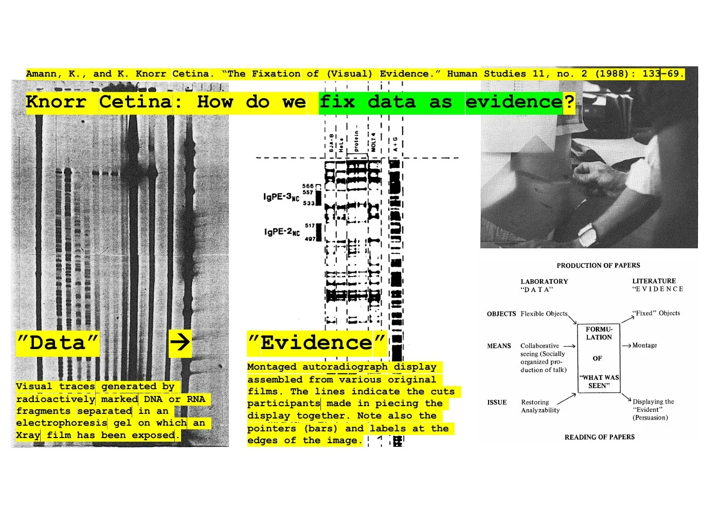 Slide: Knorr Cetina and Amann on the fixation of visual evidence: autoradiographs (“data”) montaged and labeled into a display (“evidence”).