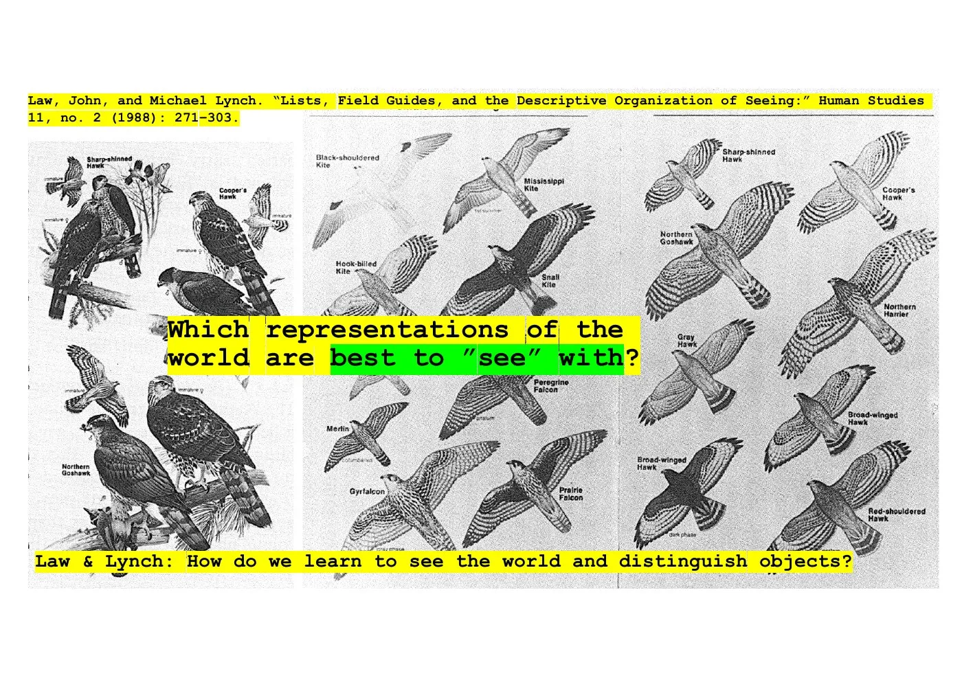 Slide: Law and Lynch on bird field guides: plates of birds of prey. Which representations of the world are best to “see” with?